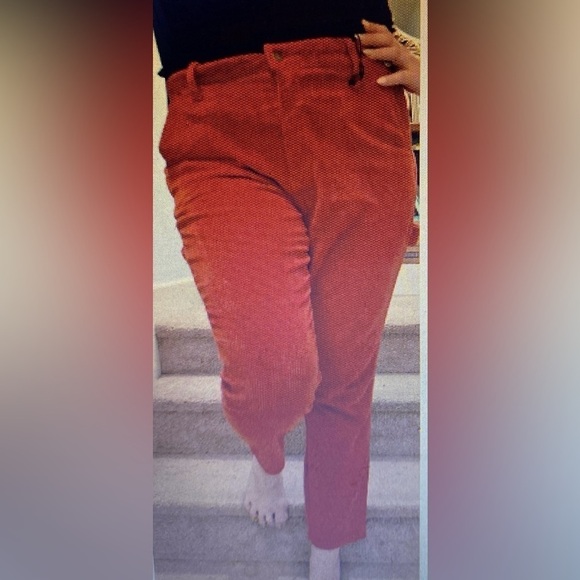 NWT Judy Blue Ankle‎ Straight Corduroy Pants High Rise Cropped Rust Red Plus 29W - Picture 12 of 13
